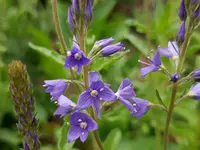 20190520_210121.webp
