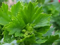 20190520_210040.webp
