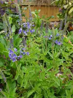 20190521_082739.webp