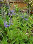 20190521_082739.jpg