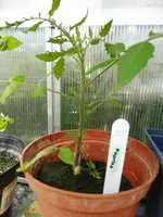 P1020251.webp