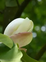 P1120819.webp