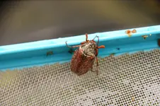 DSC07715.webp