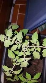 20190521_212610.webp