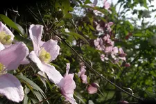 IMGP3498.JPG