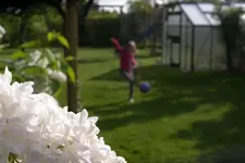 IMGP3503.webp