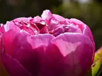image003.webp