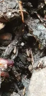 Screenshot_20190522-162139_Video Player.webp