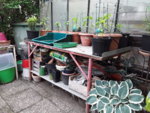 20190522_163339.jpg