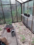 20190522_163403.jpg