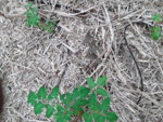 20190522_163412.jpg