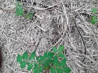 20190522_163412.webp