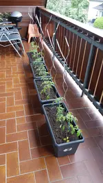 20190522_141919.webp