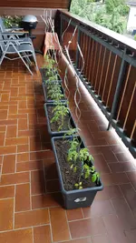 20190522_141925.webp