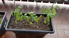 20190522_141939.webp
