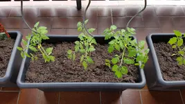 20190522_141945.webp