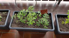 20190522_141951.webp