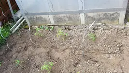 20190522_153206.webp