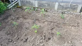 20190522_153216.webp