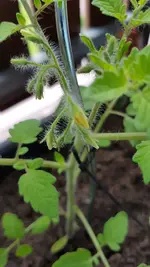 20190522_183514.webp