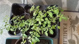 20190522_153510.webp