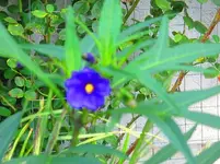 IMG_1256.webp