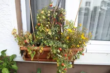 IMG_5279.webp