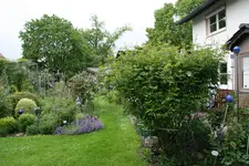 Mai 1719.webp