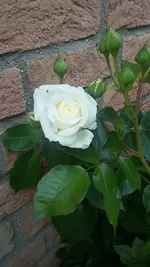 20190522_175304.webp