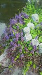 20190522_175228.jpg