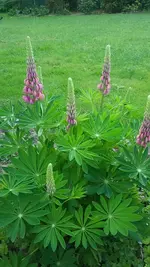 20190522_175205.webp