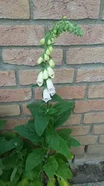 20190522_175139.webp