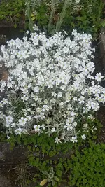 20190522_175114.webp