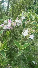 20190522_175105.webp