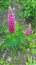 20190522_175046.webp