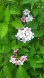 20190522_175035.webp