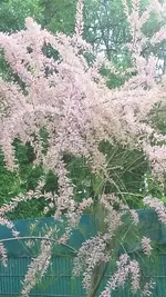 20190522_174934.webp