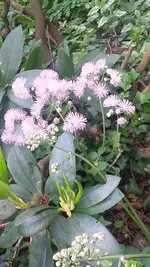 20190522_174812.webp