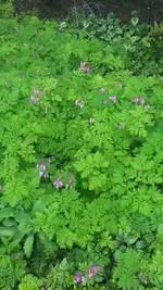 20190522_174733.webp