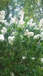 20190522_174704.webp