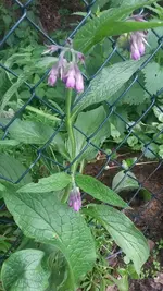 20190522_174604.webp