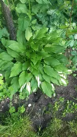 20190522_174415.webp