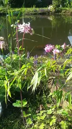 20190522_174333.jpg