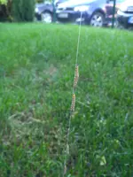 IMG_20190523_080323254.jpg