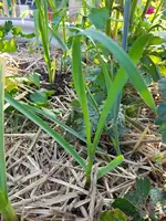 20190523_081407.webp