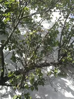IMG_20190518_174030.webp