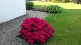 20190523_165619.webp
