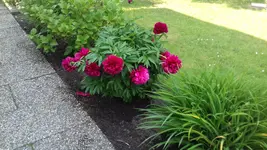 20190523_165643.webp