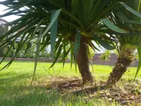 20190523_183410.webp