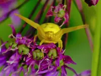 image001.jpg